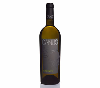 Sauvignon 2009 Canus