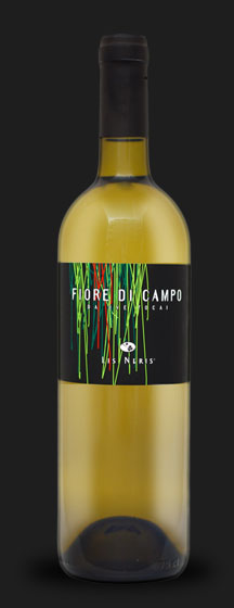 Fiore  di Campo Lis Neris