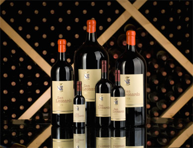 Merlot  San Leonardo